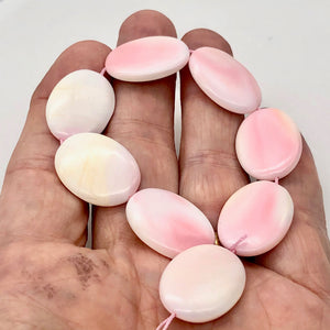 Conch Shell. Oval Half Strand | 25x18x6mm | Pink White | 8 Bead(s)