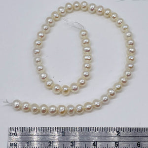 Premium White Freshwater Pearl 8 inch Strand 004494HS