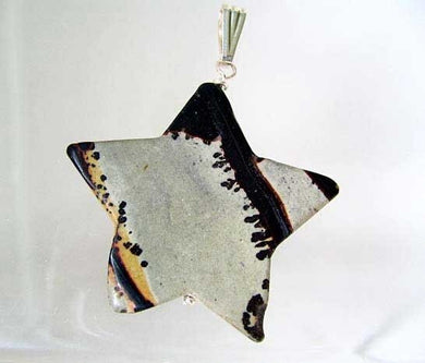 Glam! Dendritic Jasper Star & Silver Pendant! 6918I - PremiumBead Primary Image 1