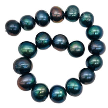 Load image into Gallery viewer, Fresh Water Pearls Round | 11-12 mm | Blue Peacock | 8 Bead
