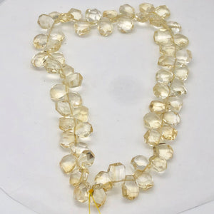 Citrine Faceted Briolette Bead Strand | 12x11 to 15x12x7mm | Golden | 85g |
