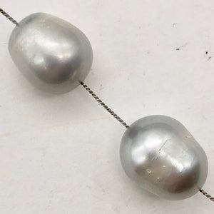 2 Hot 12-13mm Platinum Freshwater Pearls for Jewelry Making - PremiumBead Alternate Image 3