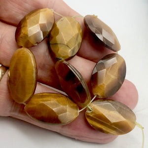 Exotic Perfectly Faceted Tigereye Half-Strand | 24x15x7 | Golden | Oval | 8 bds| - PremiumBead Alternate Image 8