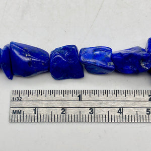 Intense! Natural Gem Quality Lapis Lazuli Bead Strand!| 46 beads | 11x10x6mm | - PremiumBead Alternate Image 5