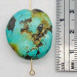 Natural Turquoise Nugget Focus Master 31cts Bead | 25x22x7mm | Blue Brown | 1|
