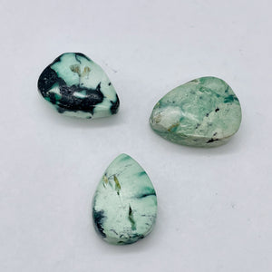 3 Mint Green Turquoise Teardrop Pendant Beads 7417