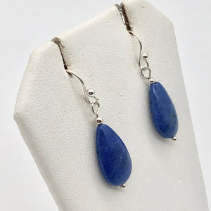 Lapis Lazuli and Sterling Silver Earrings 310825A - PremiumBead Primary Image 1