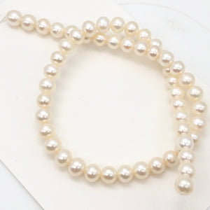 6 Premium Perfect Skin Natural White 8mm Pearls 10059