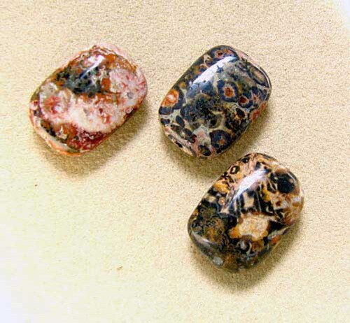 Wild 3 Leopard Skin Jasper Rectangle Beads 7364 - PremiumBead Primary Image 1