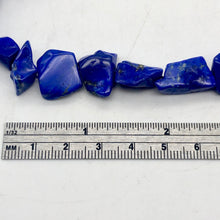 Load image into Gallery viewer, Intense! Natural Gem Quality Lapis Lazuli Bead Strand | 35 beads | 14x11x6mm | - PremiumBead Alternate Image 5
