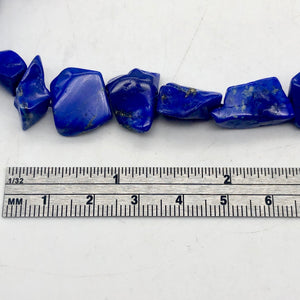 Intense! Natural Gem Quality Lapis Lazuli Bead Strand | 35 beads | 14x11x6mm | - PremiumBead Alternate Image 5