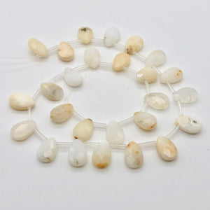 Pristine Briolette White Dendritic 15x10mm Opal Bead Strand 104656 - PremiumBead Alternate Image 2