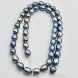 12 Lavender, Blue, Pink Peacock Satin FW Pearls, 10x6.5 to 8x6mm - PremiumBead Alternate Image 7