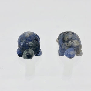 Adorable Sodalite Carved Turtle Figurine/Worry Stone | 20x12.5x8mm | Blue White - PremiumBead Alternate Image 9