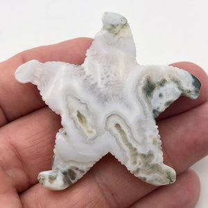 Tree Agate Carved Starfish Pendant Bead - PremiumBead Alternate Image 10