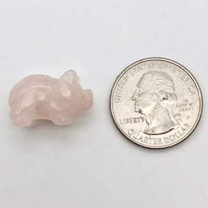 Oink 2 Carved Rose Quartz Pig Beads | 21x13x9.5mm | Pink - PremiumBead Alternate Image 5