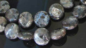 Speckled Labradorite 12mm Coin Bead 7.5 inch Strand 9558HS - PremiumBead Primary Image 1