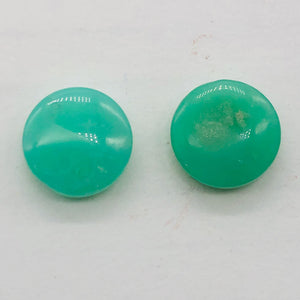 Radiant 2 Natural Chrysoprase Agate 12x5mm Coin Beads 9574A