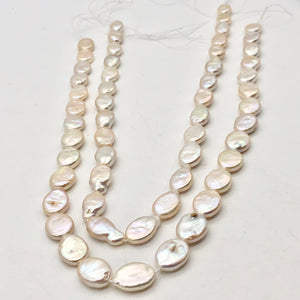 Creamy Oval/Teardrop FW Coin Pearl Strand - PremiumBead Primary Image 1