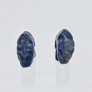 Abundance 2 Sodalite Hand Carved Bison / Buffalo Beads | 21x14x7.5mm | Blue - PremiumBead Alternate Image 7