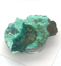Load and play video in Gallery viewer, Stunning Dioptase on Chrysocolla Display Specimen | 2.25x1.5x.75&quot; | Green |
