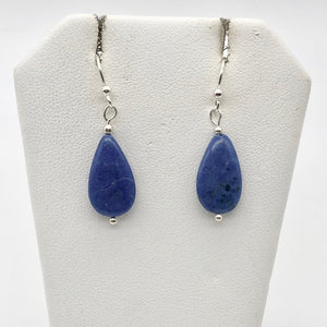 Lapis Lazuli and Sterling Silver Earrings 310825A - PremiumBead Alternate Image 9