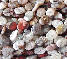 Load image into Gallery viewer, 3 Premium Crazy Lace Agate Oval Focal Beads 4581 - PremiumBead Alternate Image 3
