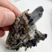 Load image into Gallery viewer, Raw Natural Smoky Quartz Crystal Cluster Specimen | 2.75x1.75x1.5&quot; | Smokey | - PremiumBead Primary Image 1
