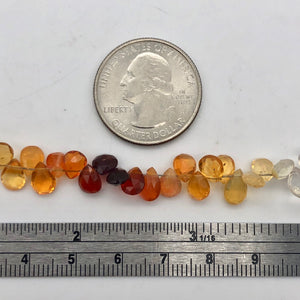 26.75cts Untreated Mexican Fire Opal 7" Briolette Bead Strand | 6-8mm | 10230B - PremiumBead Alternate Image 4
