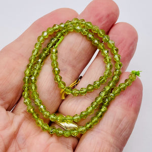 Peridot Faceted Half-Strand Round Beads | 7x4mm | Green | 47 Beads |