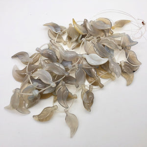 Carved Translucent Grey Agate Leaf Briolette Bead 16" Strand | 16 Beads | 109418 - PremiumBead Alternate Image 8
