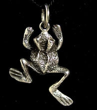 Load image into Gallery viewer, Ribbit 925 Sterling Silver Frog toad Traditional Charm Pendant 9966B - PremiumBead Primary Image 1
