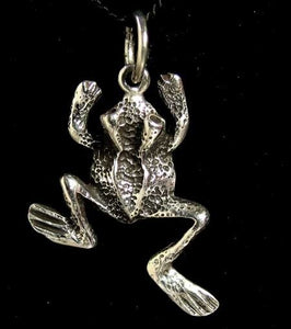 Ribbit 925 Sterling Silver Frog toad Traditional Charm Pendant 9966B - PremiumBead Primary Image 1
