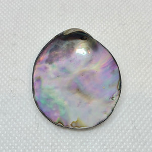 Designer! (1) Natural Abalone Shell 32x27x5 to 45x39x11mm Briolette Bead 009909 - PremiumBead Alternate Image 2