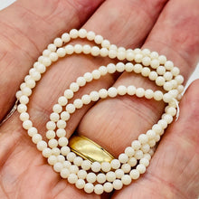 Load image into Gallery viewer, Natural Creamy White Coral Bead Strand 110454
