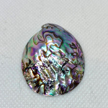 Load image into Gallery viewer, Designer! (1) Natural Abalone Shell 32x27x5 to 45x39x11mm Briolette Bead 009909 - PremiumBead Primary Image 1
