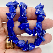 Load image into Gallery viewer, Intense! Natural Gem Quality Lapis Lazuli Bead Strand!| 42 beads | 11x10x6mm | - PremiumBead Alternate Image 6

