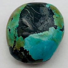 Load image into Gallery viewer, Genuine Natural Turquoise Nugget Focus Master 31cts| 21x18x10mm | Blue Black|1|
