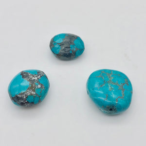 Amazing! 3 Genuine Natural Turquoise Nugget Beads 50cts 010607P - PremiumBead Alternate Image 3