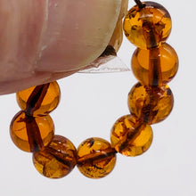 Load image into Gallery viewer, Amber Round Beads | 6 1/2 mm | Orange | 8 Beads |
