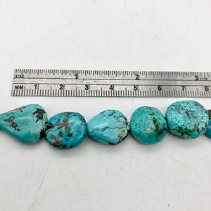 305cts Natural USA Turquoise Pebble Beads Strand 106696G - PremiumBead Alternate Image 5