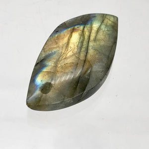 Labradorite Spectrolite Free Form Pendant Bead | 40x20x7mm | Golden Blue |