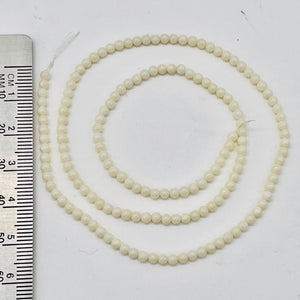 Natural Creamy White Coral Bead Strand 110454