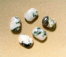 Load image into Gallery viewer, 5 Tree Agate Rounded Rectangle Beads 7317 - PremiumBead Alternate Image 2
