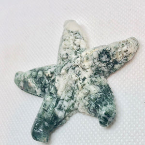 Tree Agate Carved Starfish Pendant Bead | 61x57x11mm | White with Forst Green - PremiumBead Alternate Image 2