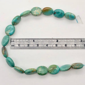 3 Natural Turquoise 12x10mm Oval Beads 2175