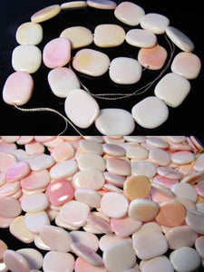 Rare Pink Conch Shell 17-20x15mm Rectangle Bead Strand 109833 - PremiumBead Primary Image 1