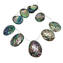 Load image into Gallery viewer, Abalone Shell Briolette 32x27x5 to 45x39x11mm Bead Strand 109909
