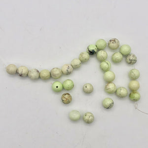 Rare! Lemon Chrysoprase 7.5 - 8mm Beads! - PremiumBead Alternate Image 6