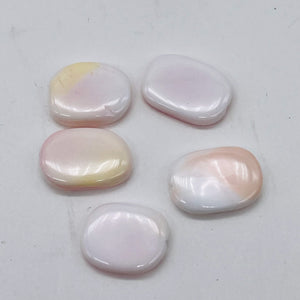 Rare Pink Conch Shell 17-20x15mm Rectangle Bead Strand 109833